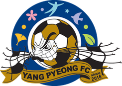 杨平队伍信息